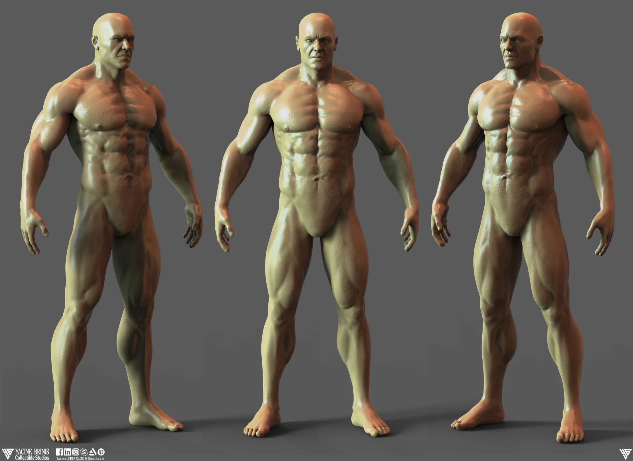 Realistic Male Anatomy (Basemesh) Vol 01