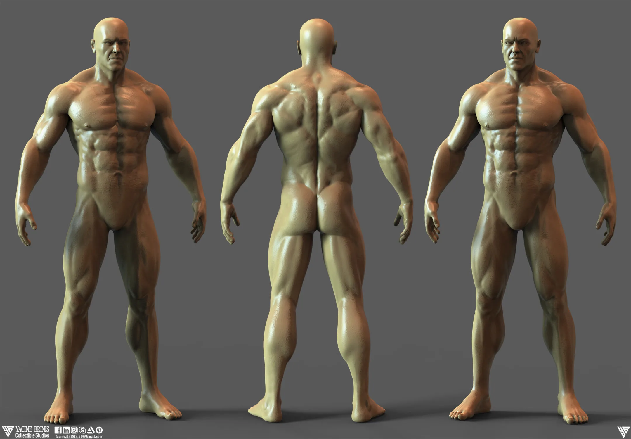 Realistic Male Anatomy (Basemesh) Vol 01