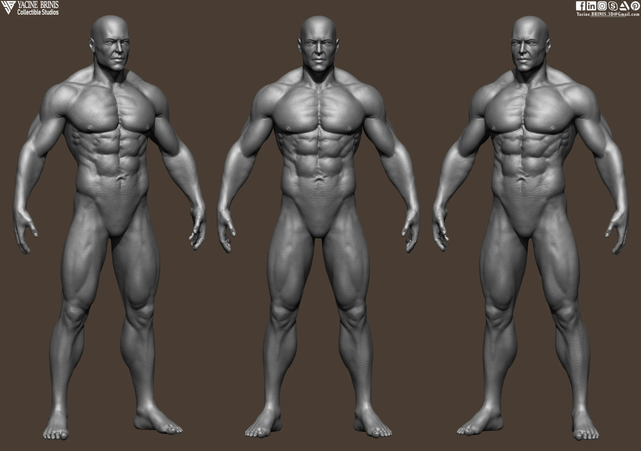 Realistic Male Anatomy (Basemesh) Vol 01