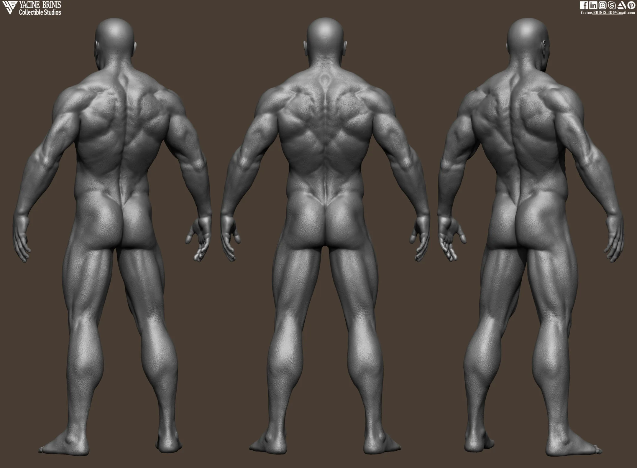 Realistic Male Anatomy (Basemesh) Vol 01