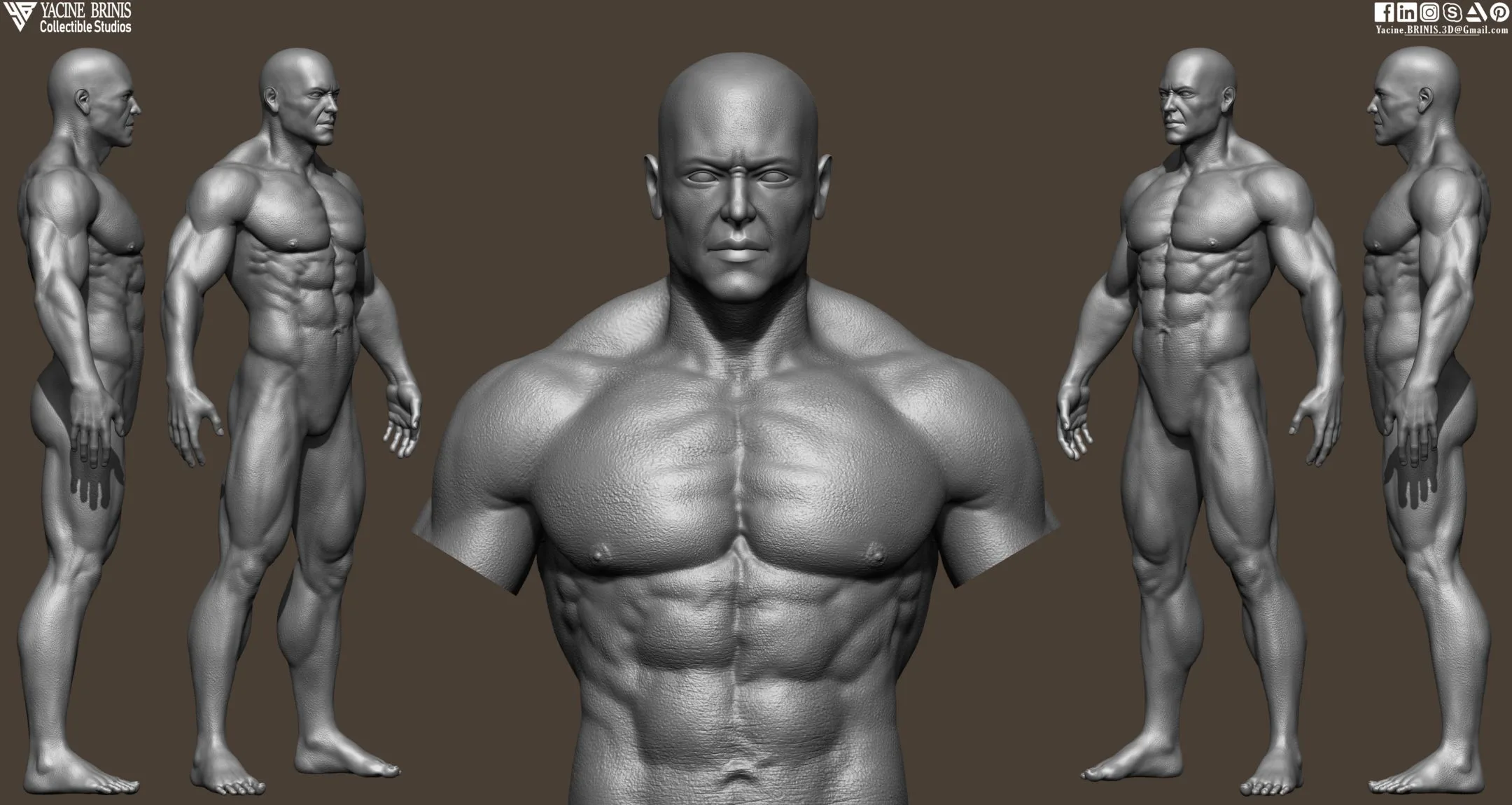 Realistic Male Anatomy (Basemesh) Vol 01