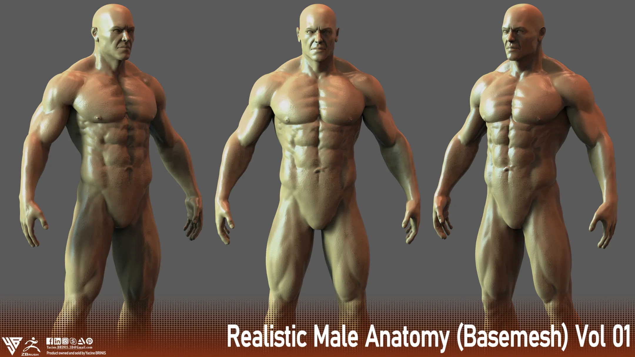 Realistic Male Anatomy (Basemesh) Vol 01