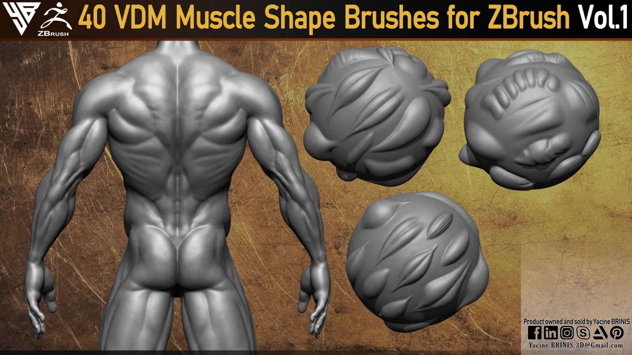 40 VDM Muscle Shape Brushes for ZBrush Vol 01