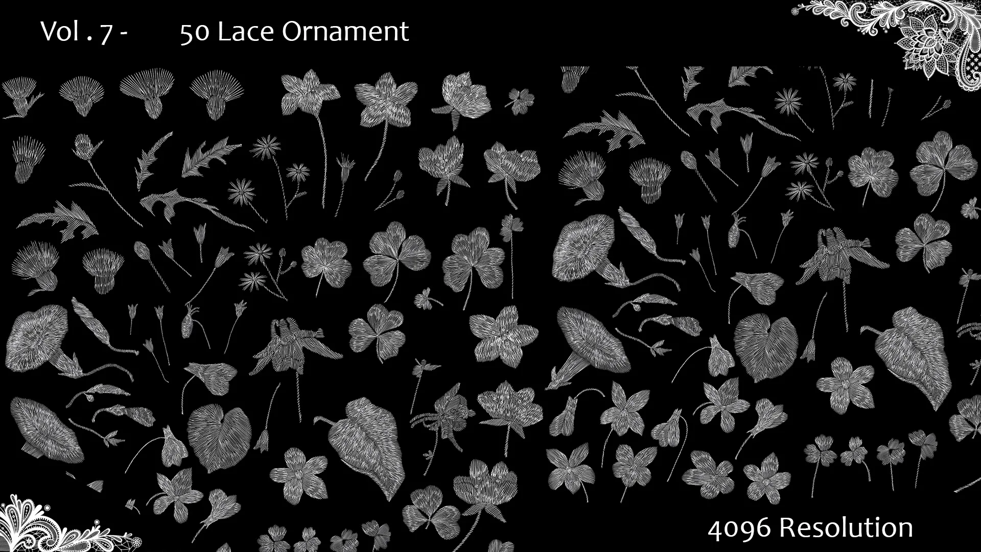 Vol . 7 - 50 Lace Ornament - Alphas