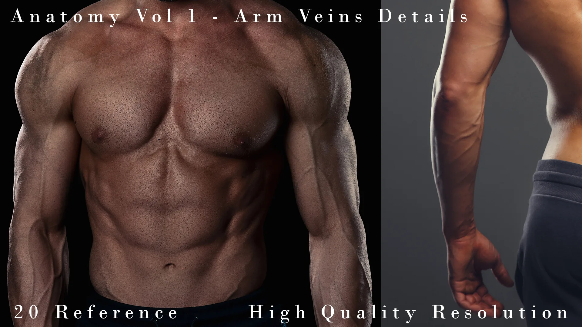 Anatomy Vol 1 - Arm Veins Details