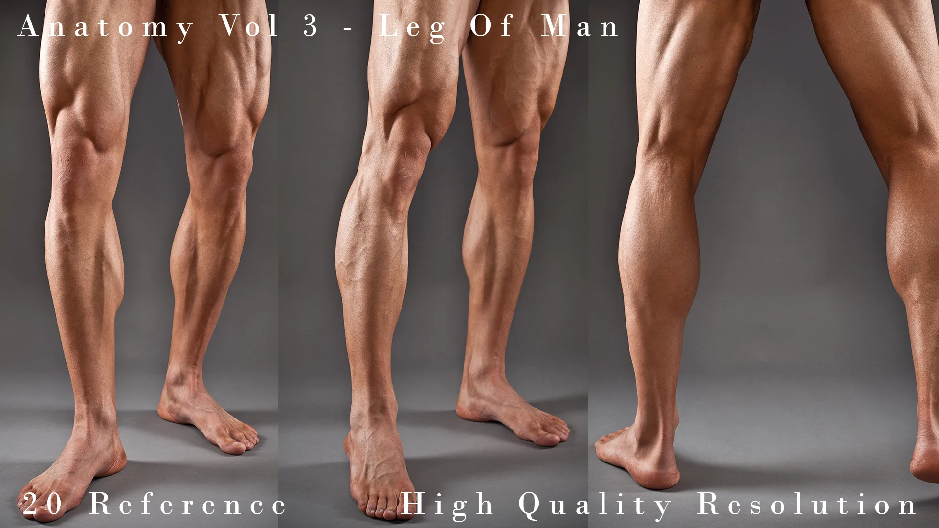 Anatomy Vol 3 - Leg Of Man Details