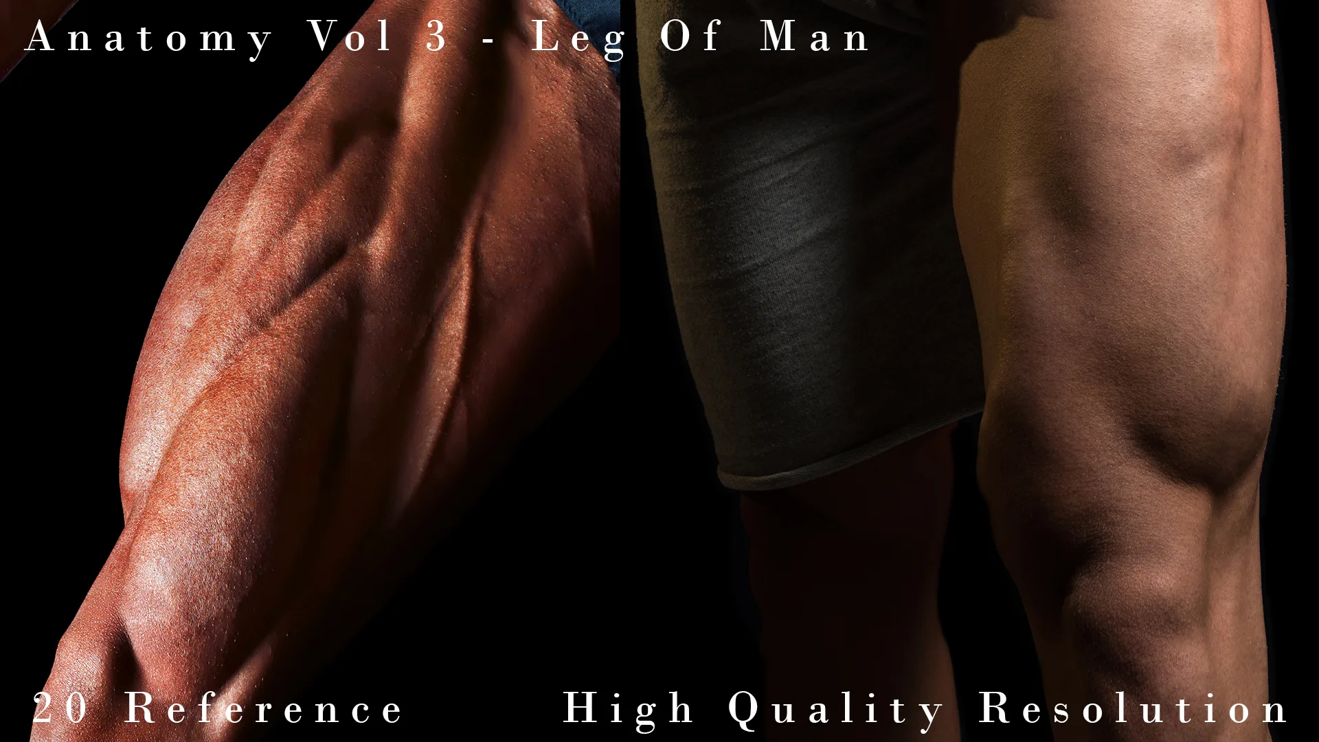 Anatomy Vol 3 - Leg Of Man Details