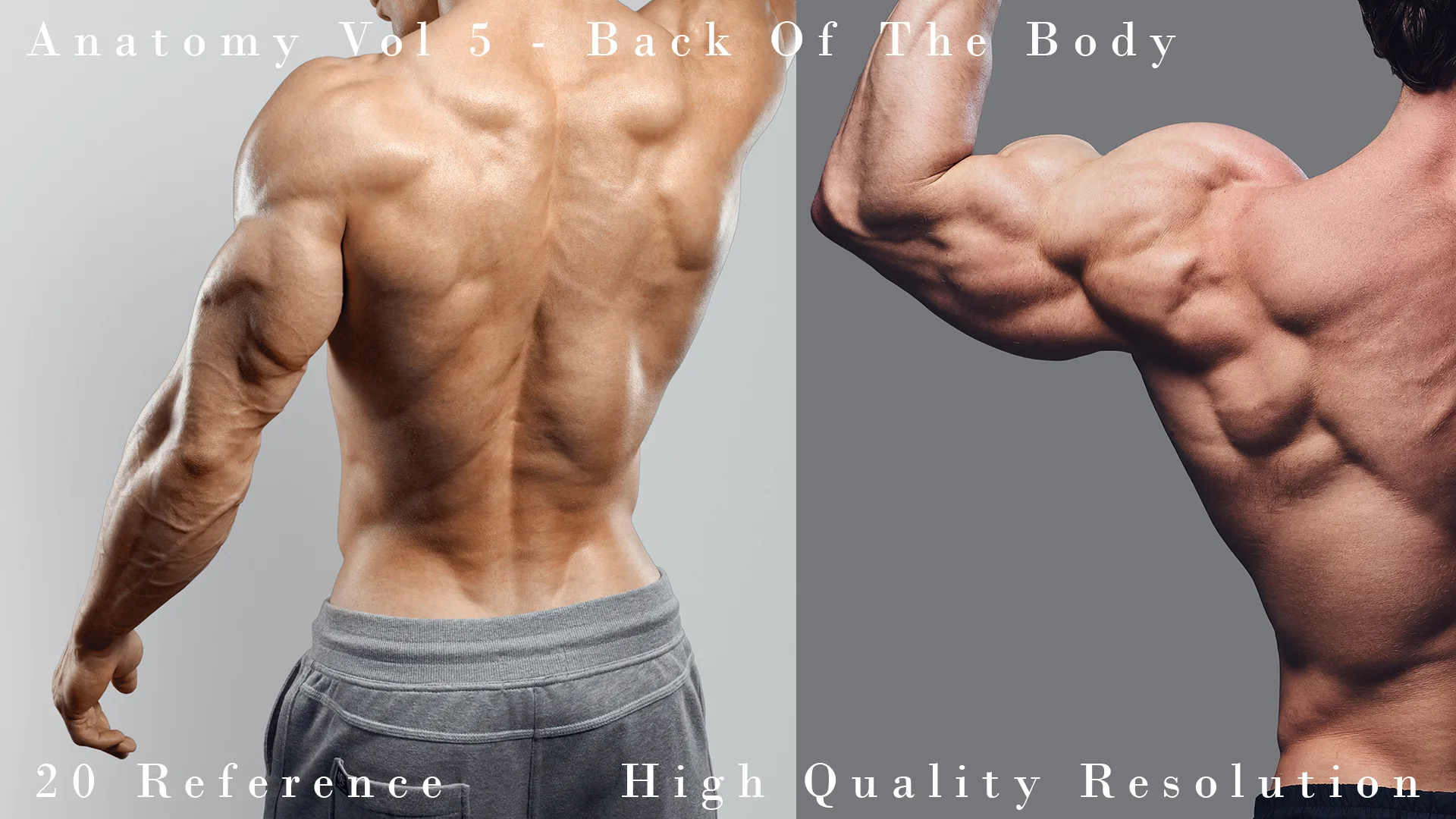 Anatomy Vol 5 - Back Of The Body