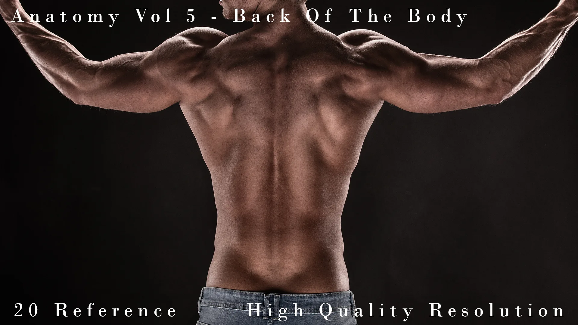 Anatomy Vol 5 - Back Of The Body