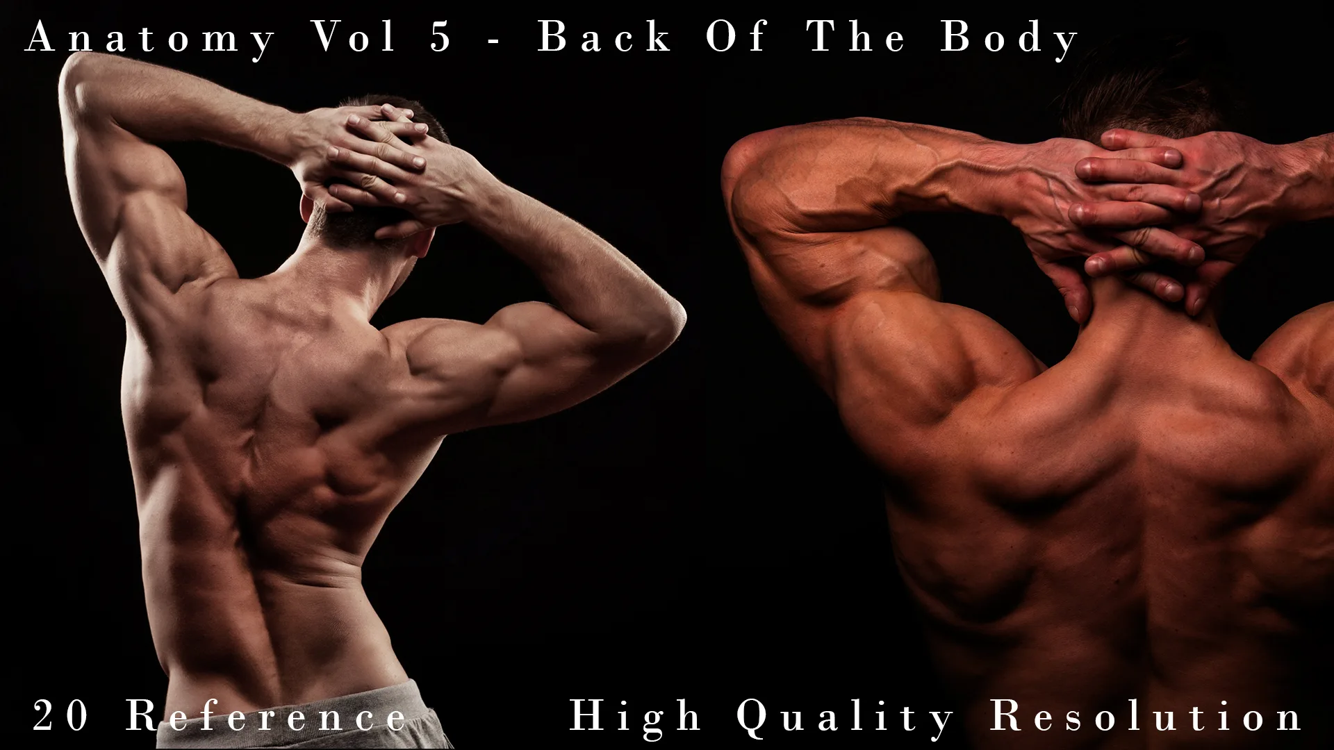 Anatomy Vol 5 - Back Of The Body