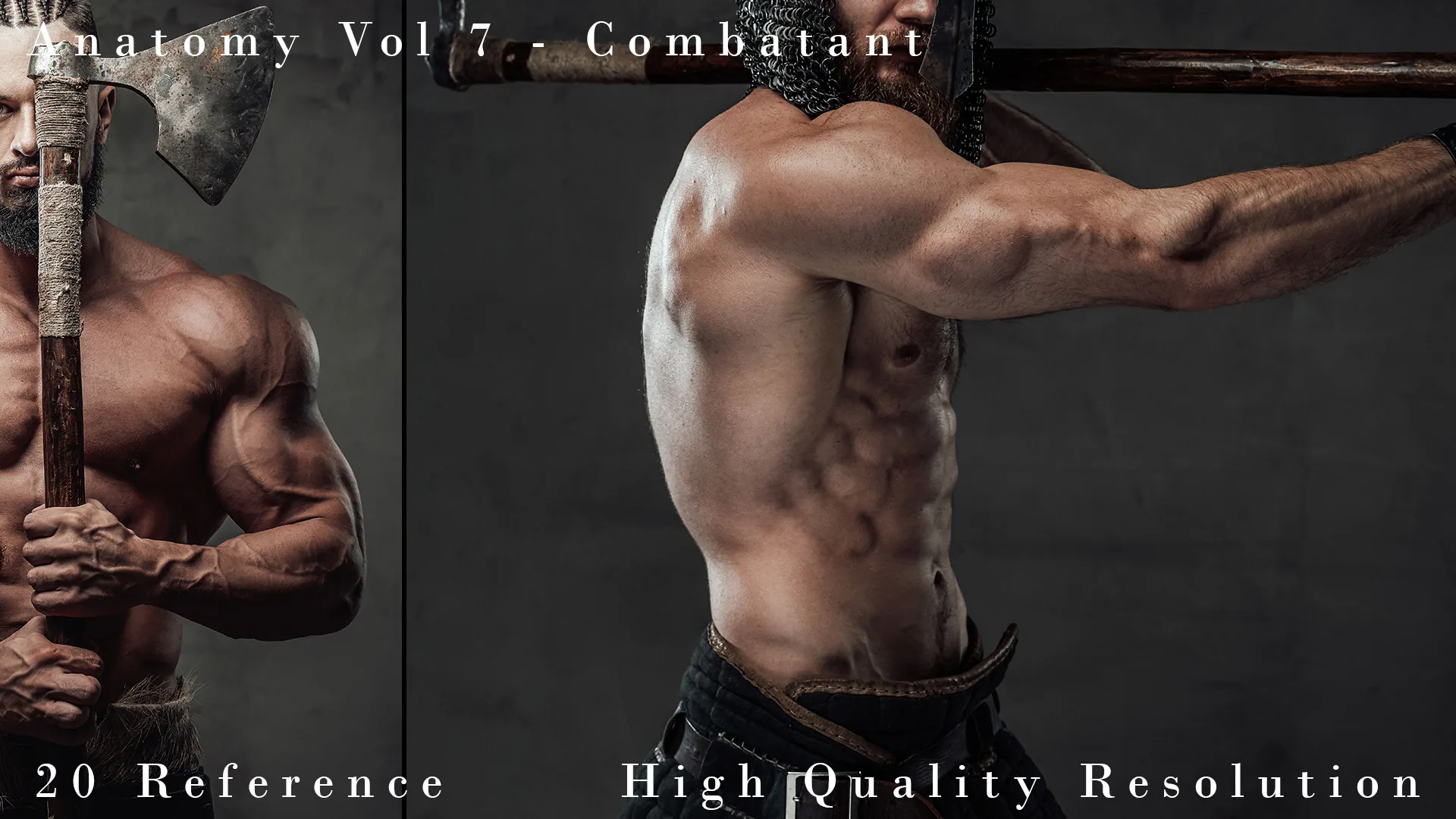 Anatomy Vol 7 - Combatant