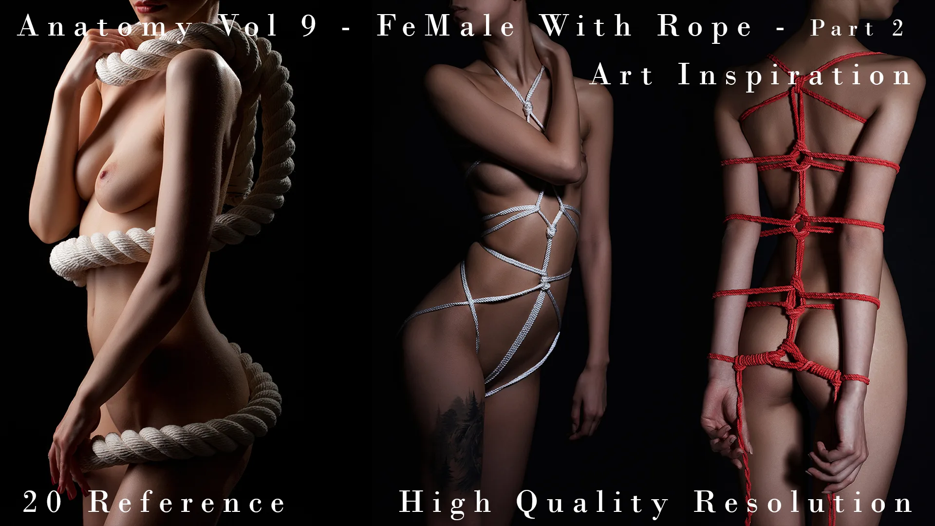 Anatomy Vol 9 - FeMale With Rope Part 2- Art Inspiration