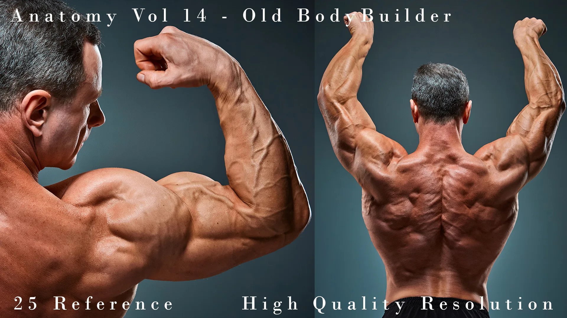 Anatomy Vol 14 - Old BodyBuilder