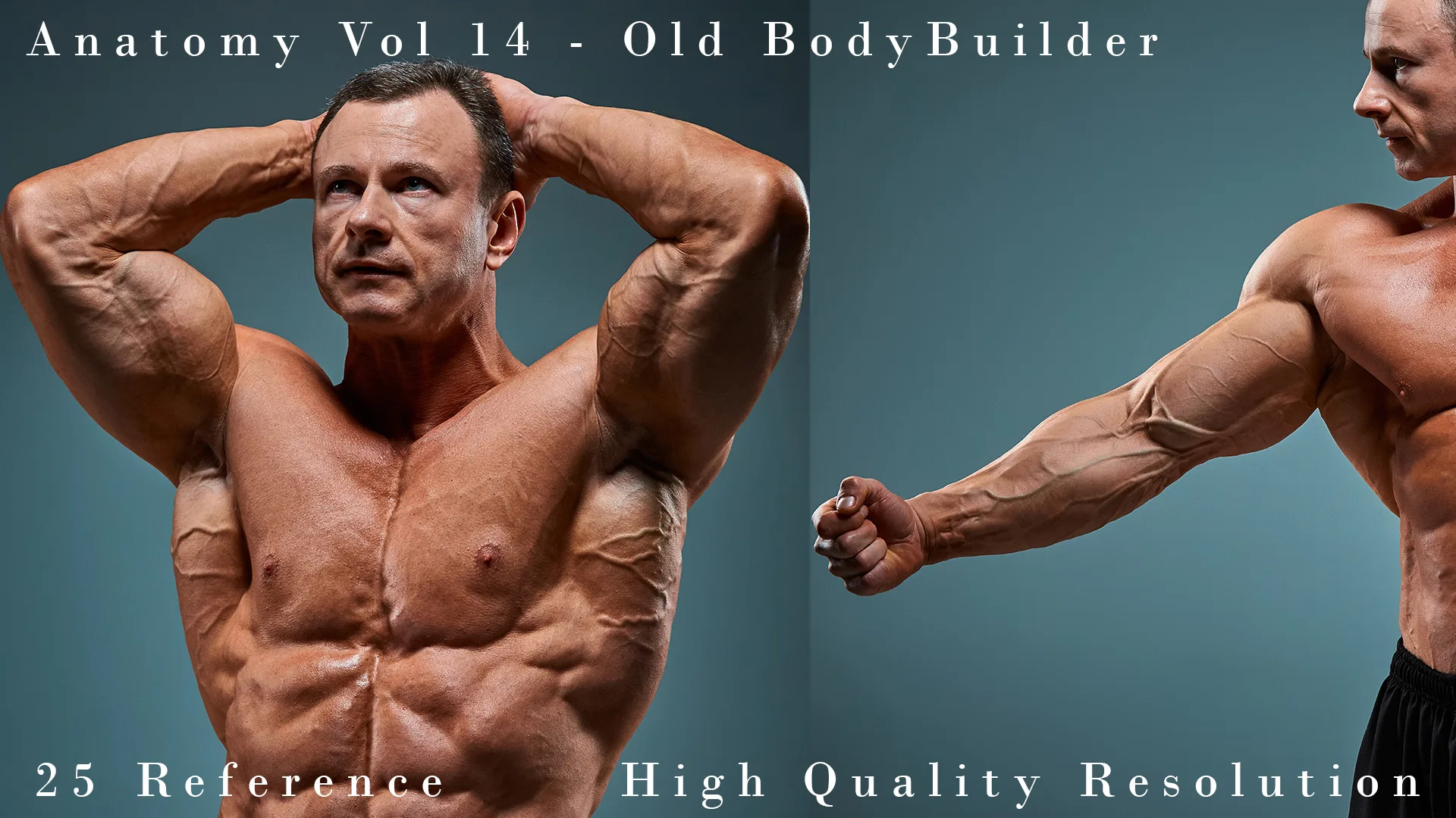 Anatomy Vol 14 - Old BodyBuilder