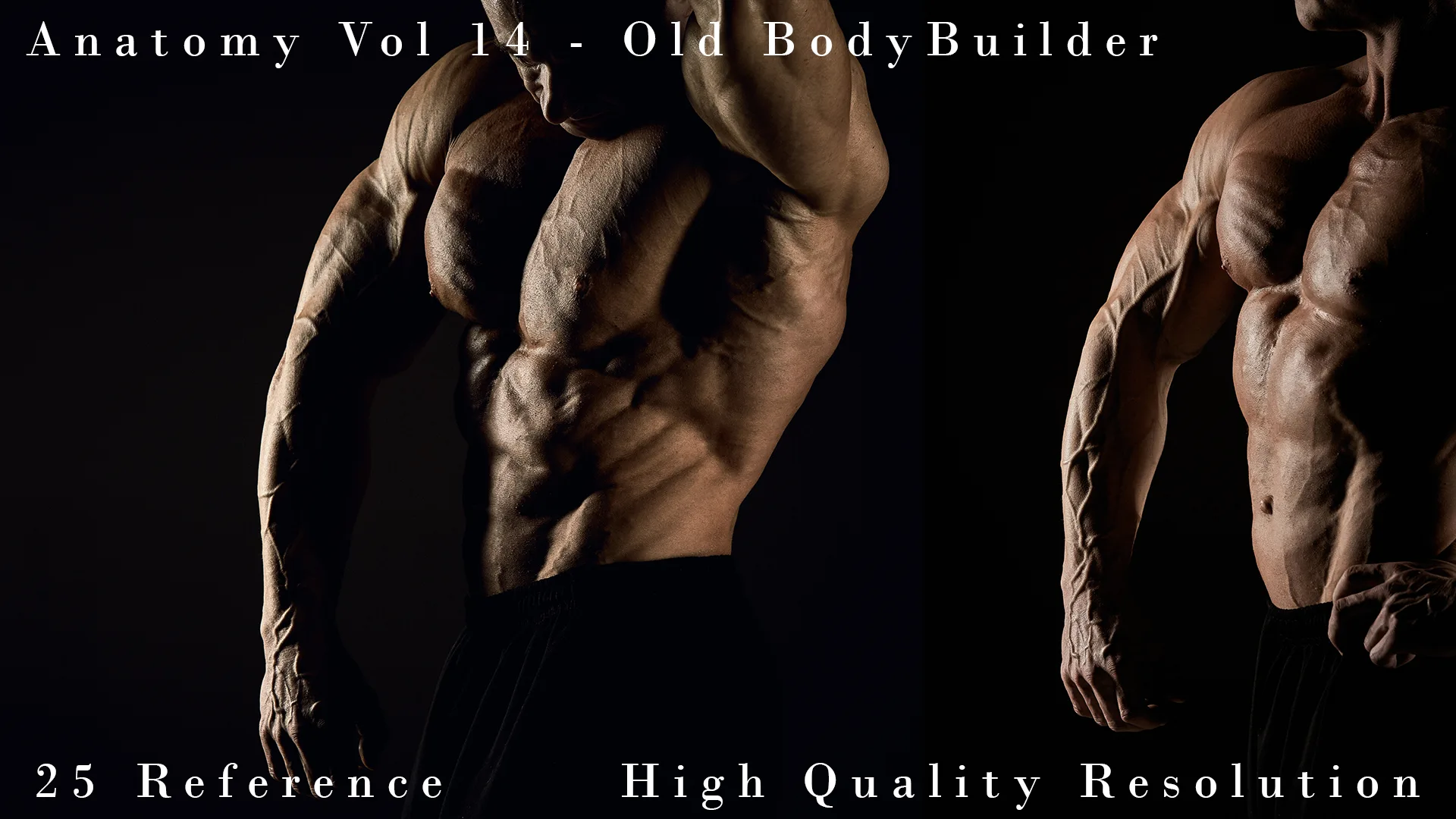 Anatomy Vol 14 - Old BodyBuilder