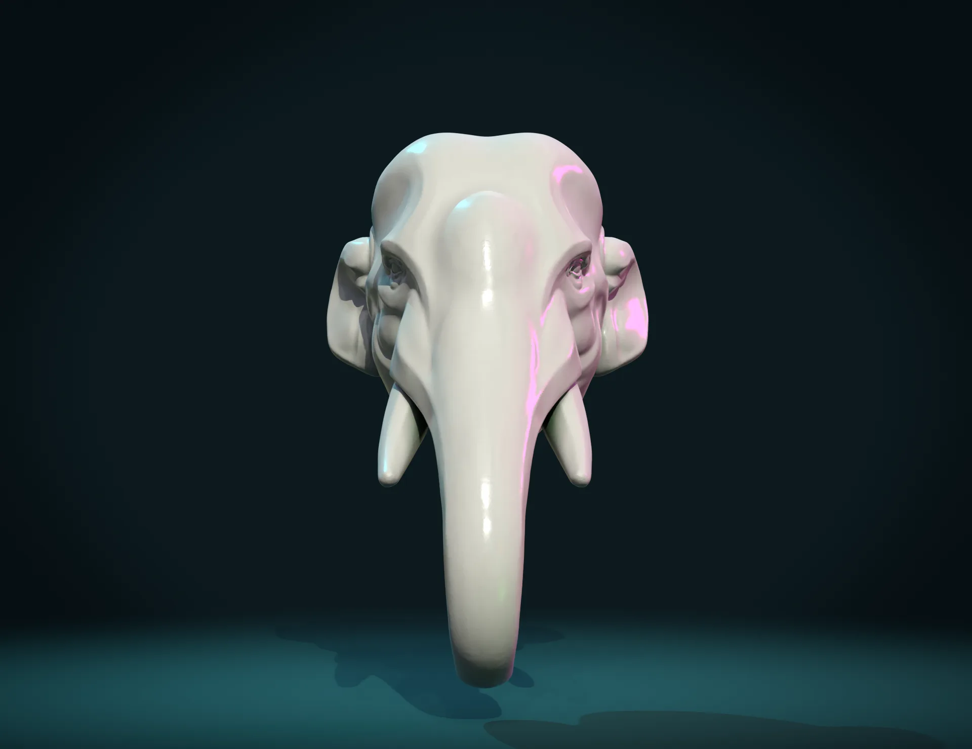 Elephant Head