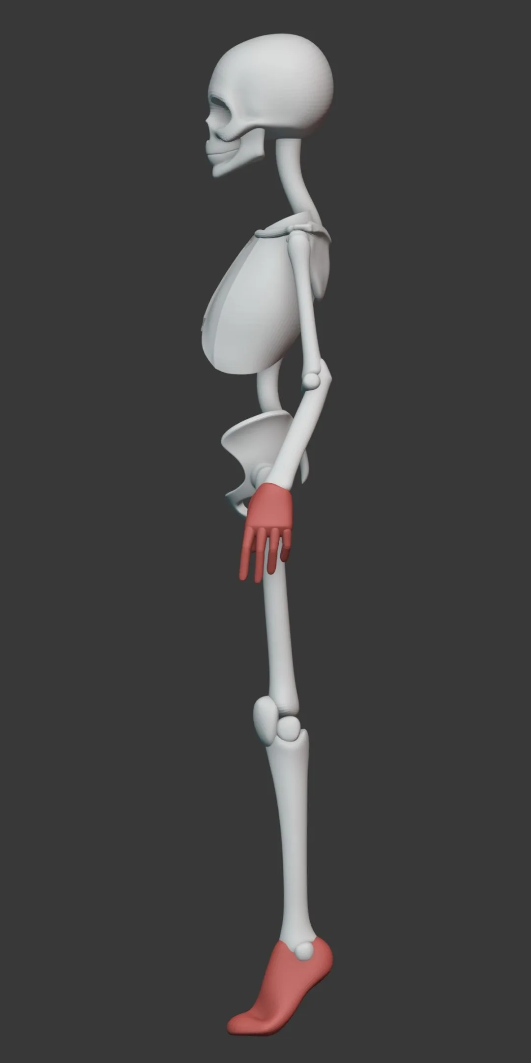 Stylized Female Anatomy Ecorche