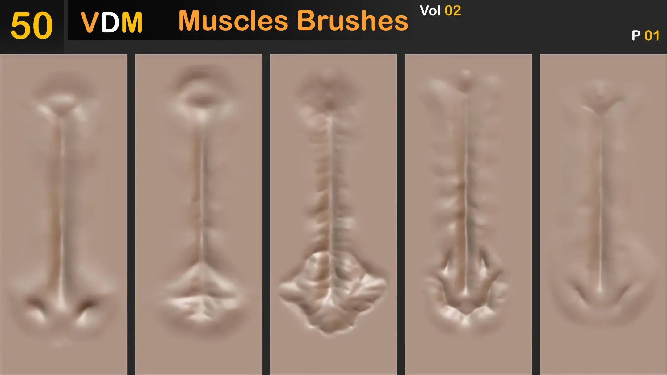 50 VDM Muscles Brushes _Vol 02