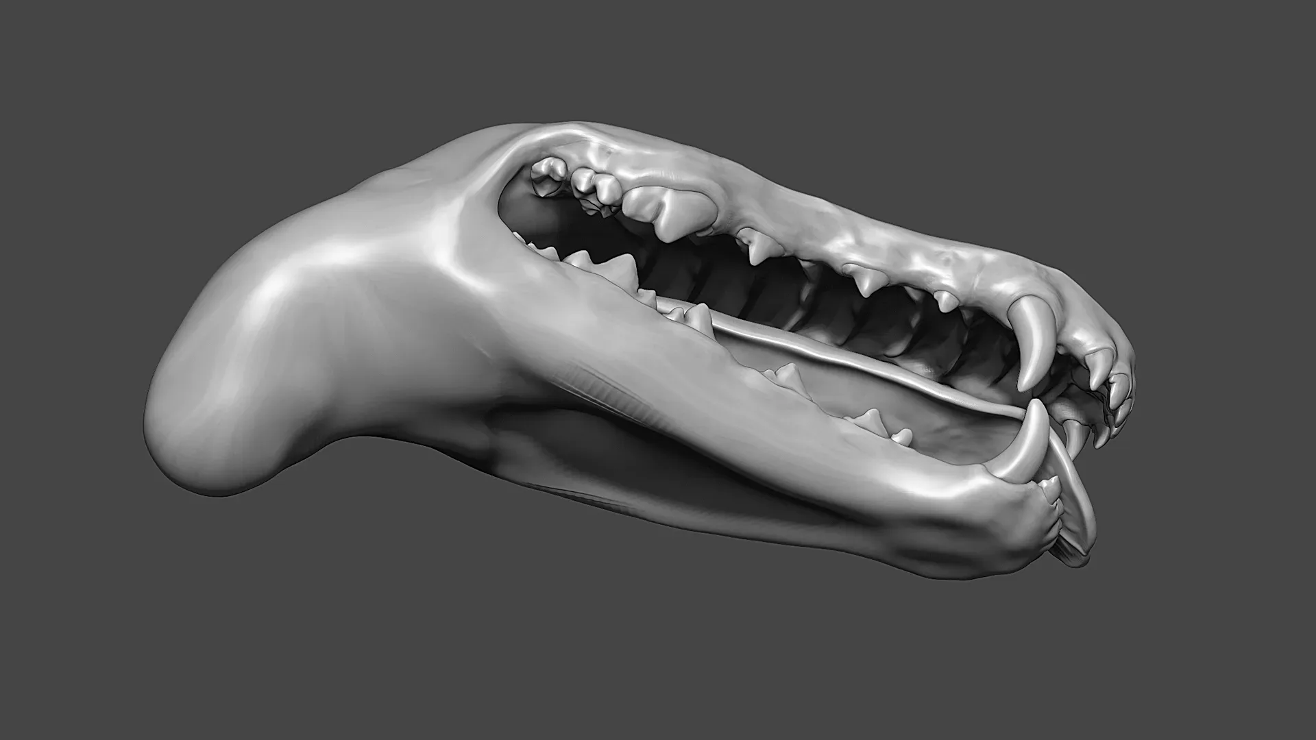 Dog Mouth ZBrush Sculpt