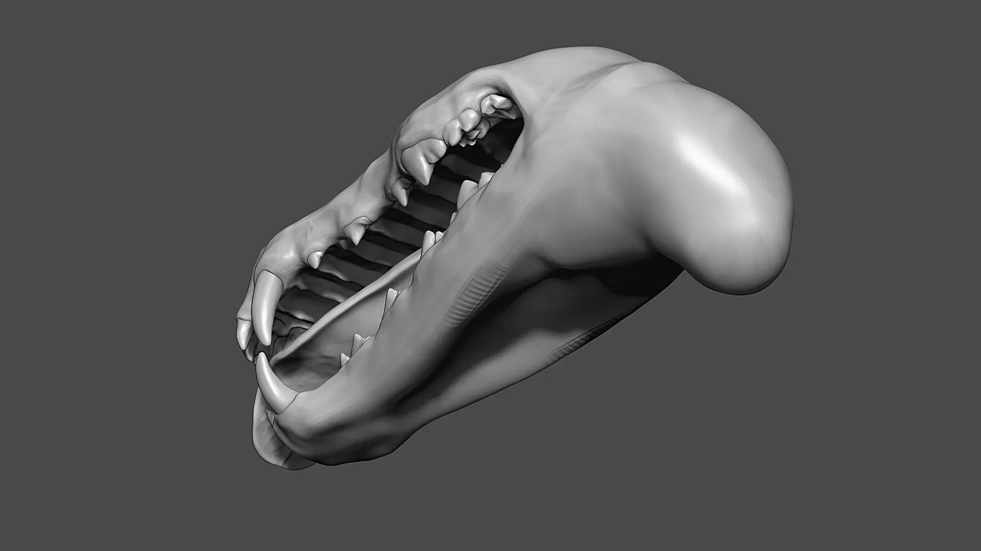 Dog Mouth ZBrush Sculpt