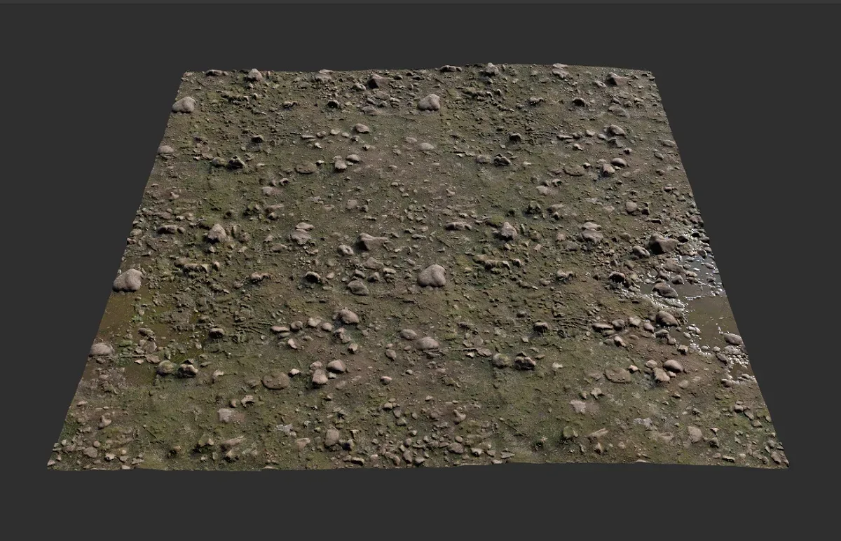 Woodland Terrain Texture