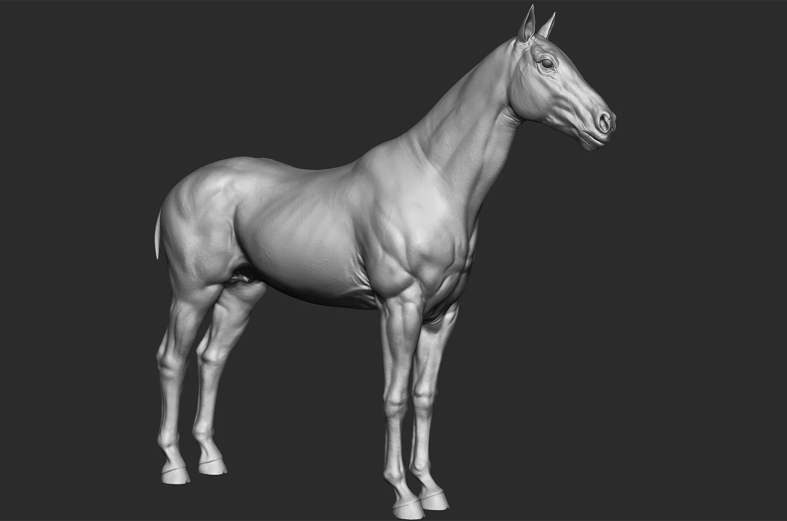 Realistic Horse - Sculpt