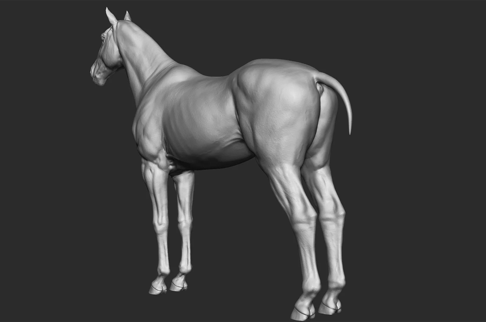 Realistic Horse - Sculpt