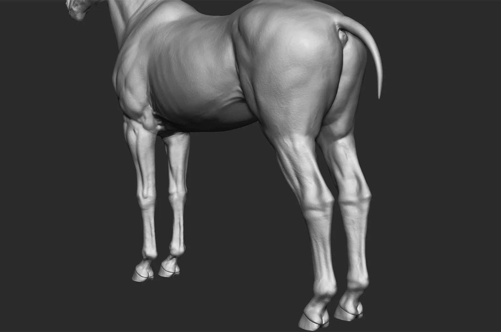 Realistic Horse - Sculpt