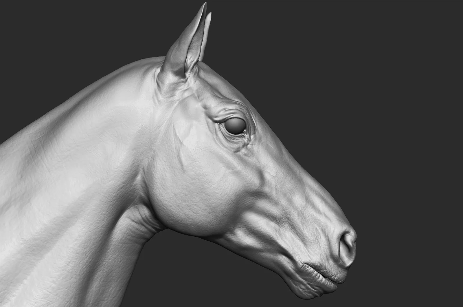 Realistic Horse - Sculpt