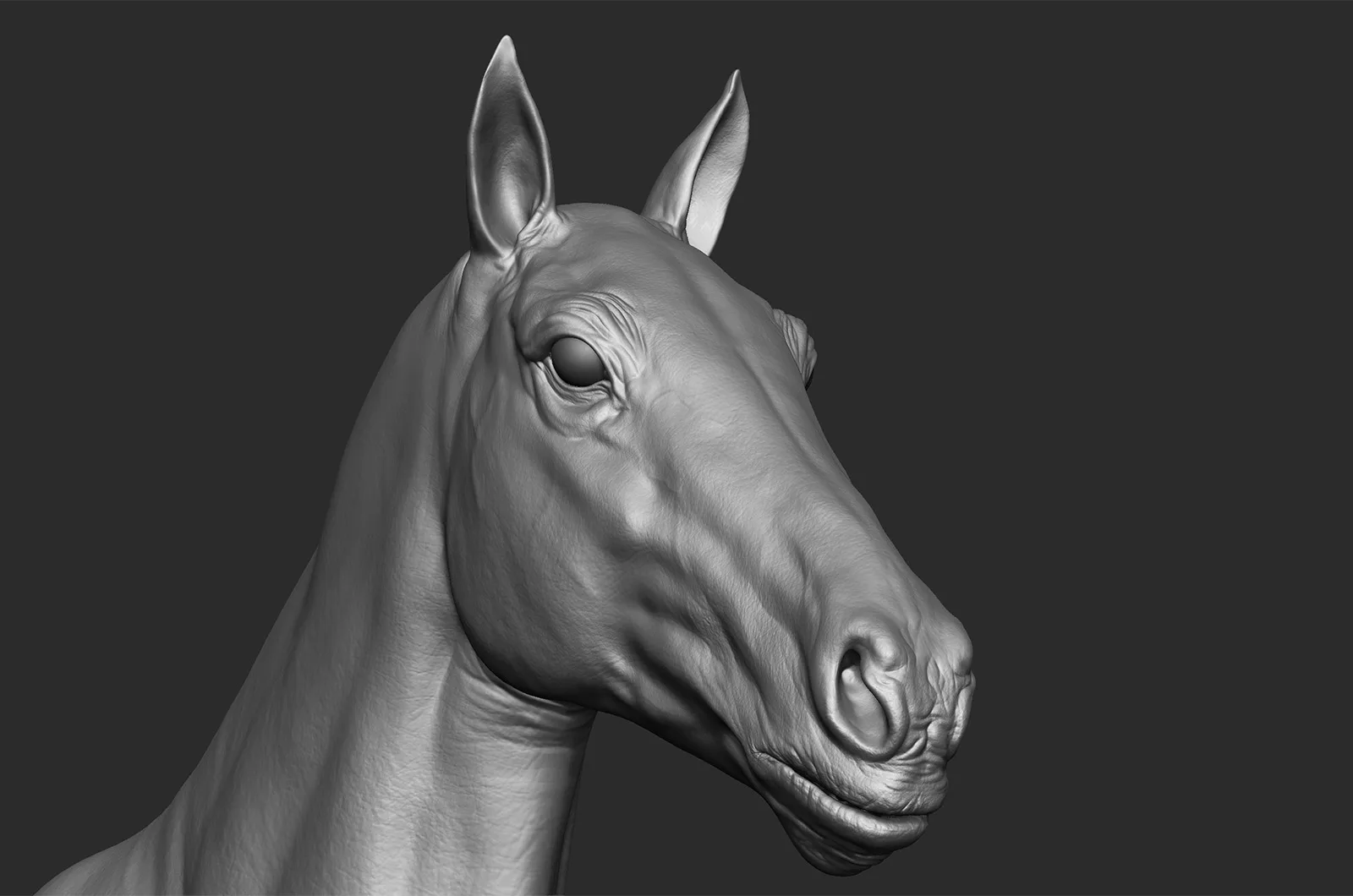 Realistic Horse - Sculpt