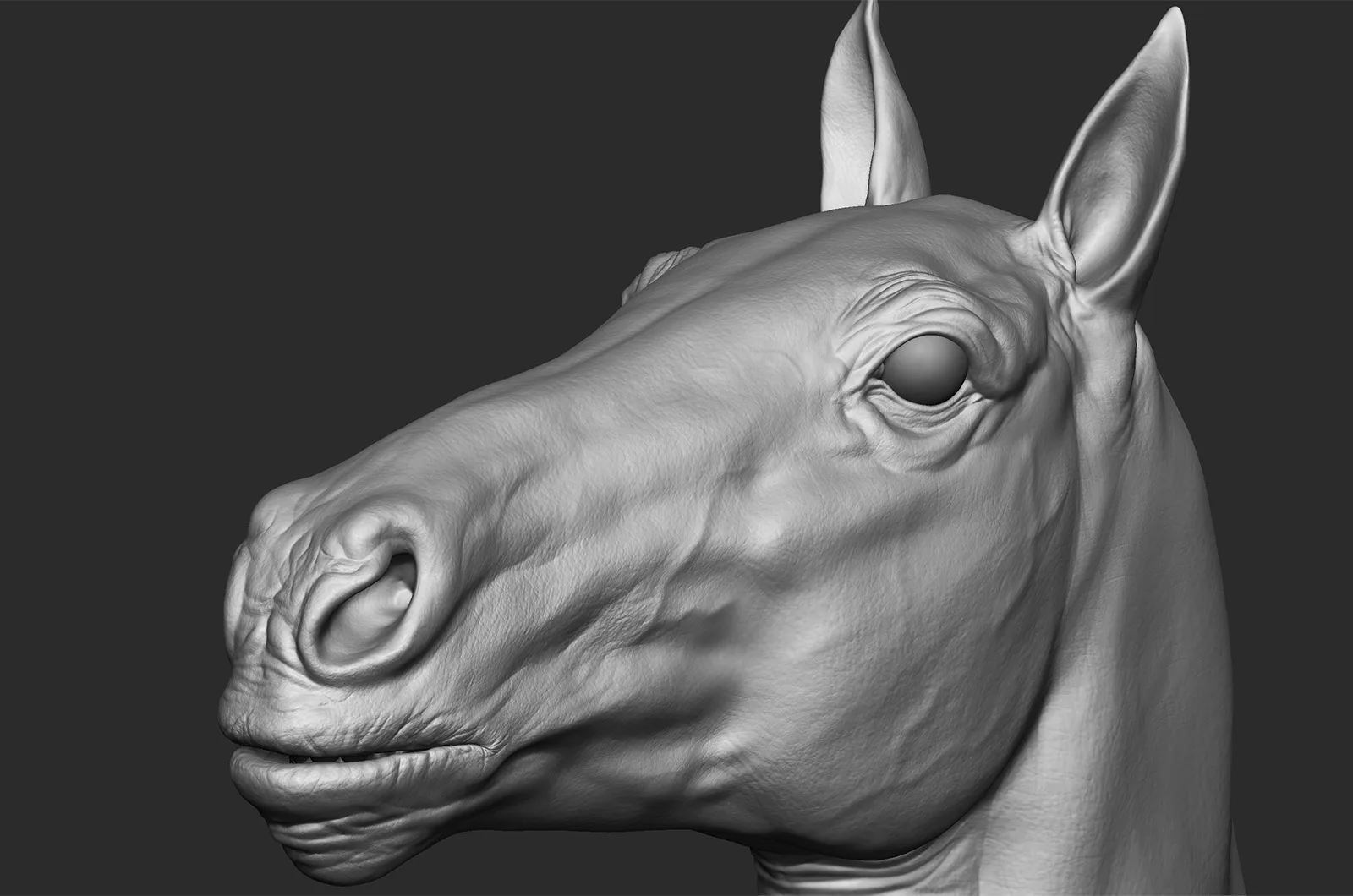 Realistic Horse - Sculpt