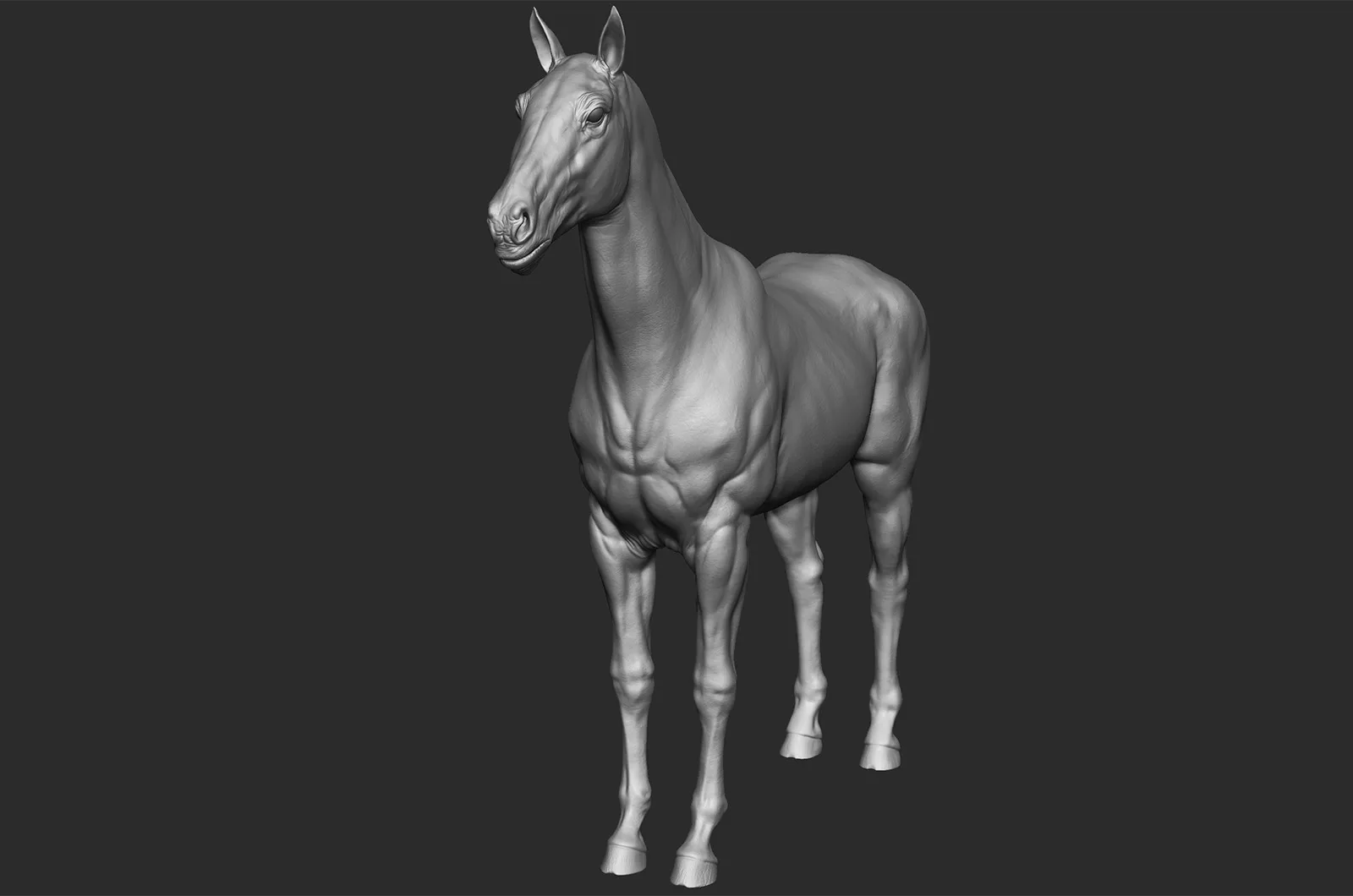 Realistic Horse - Sculpt