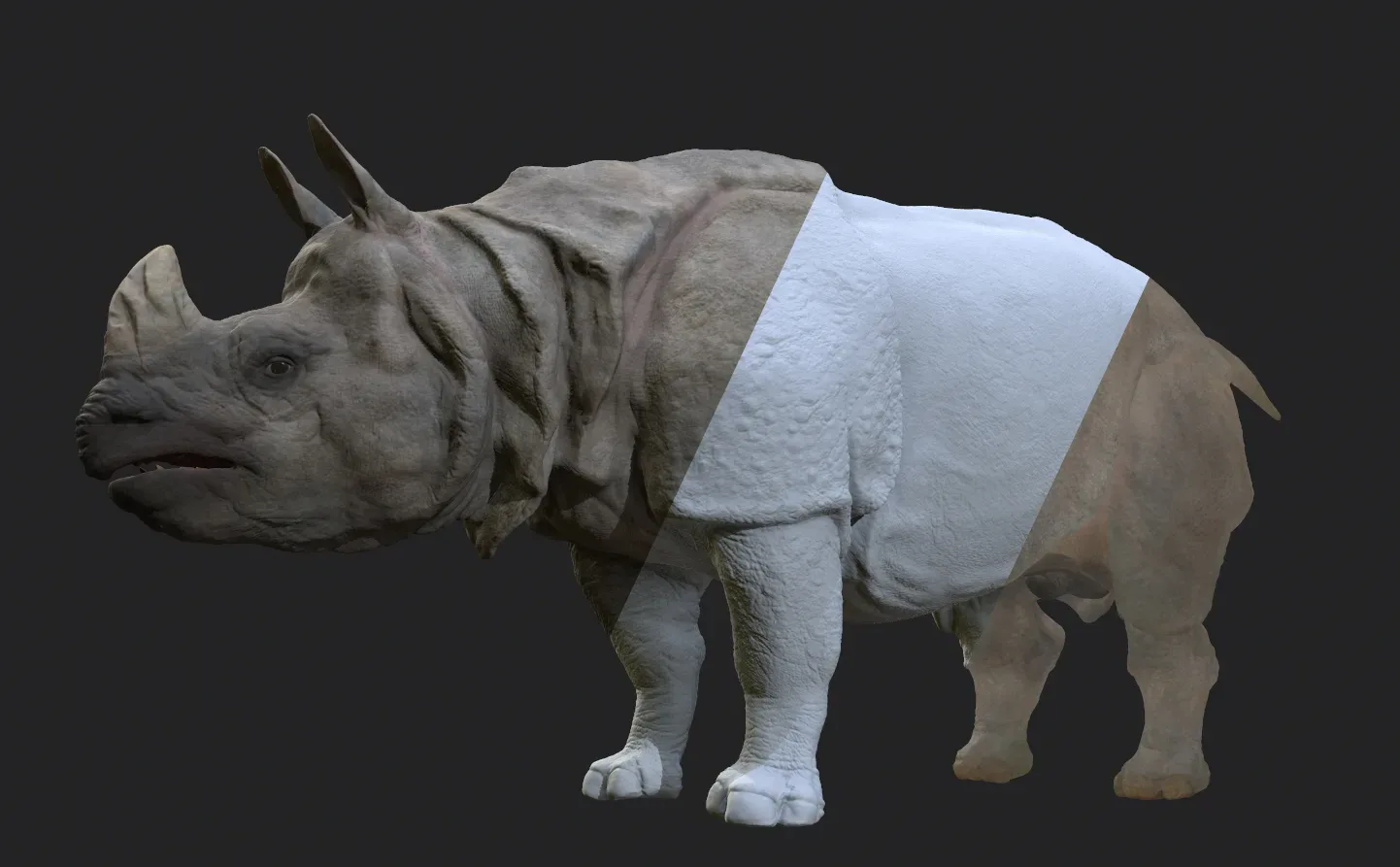 Indian Rhinoceros - Sculpt