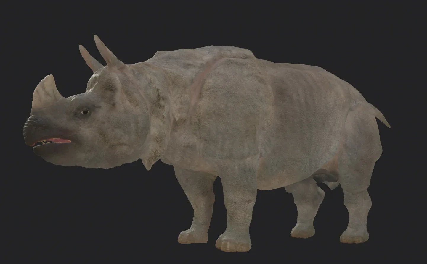 Indian Rhinoceros - Sculpt