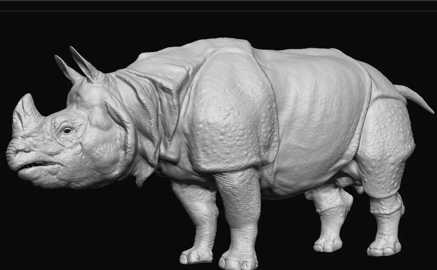 Indian Rhinoceros - Sculpt