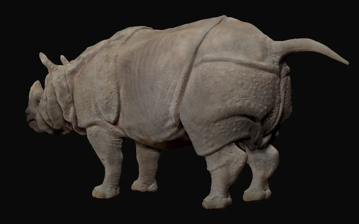 Indian Rhinoceros - Sculpt