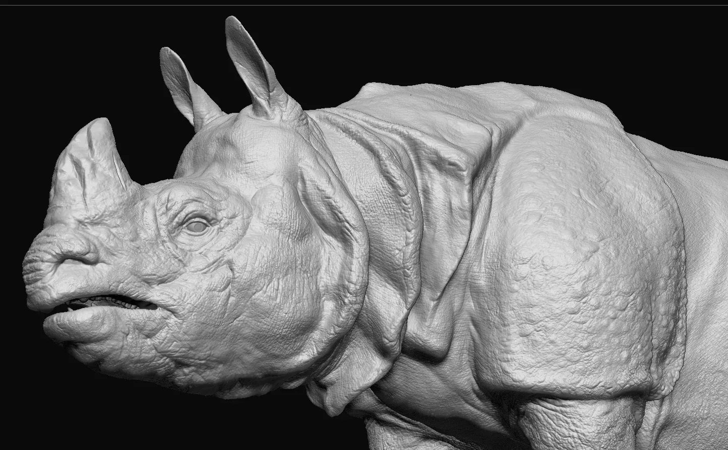 Indian Rhinoceros - Sculpt