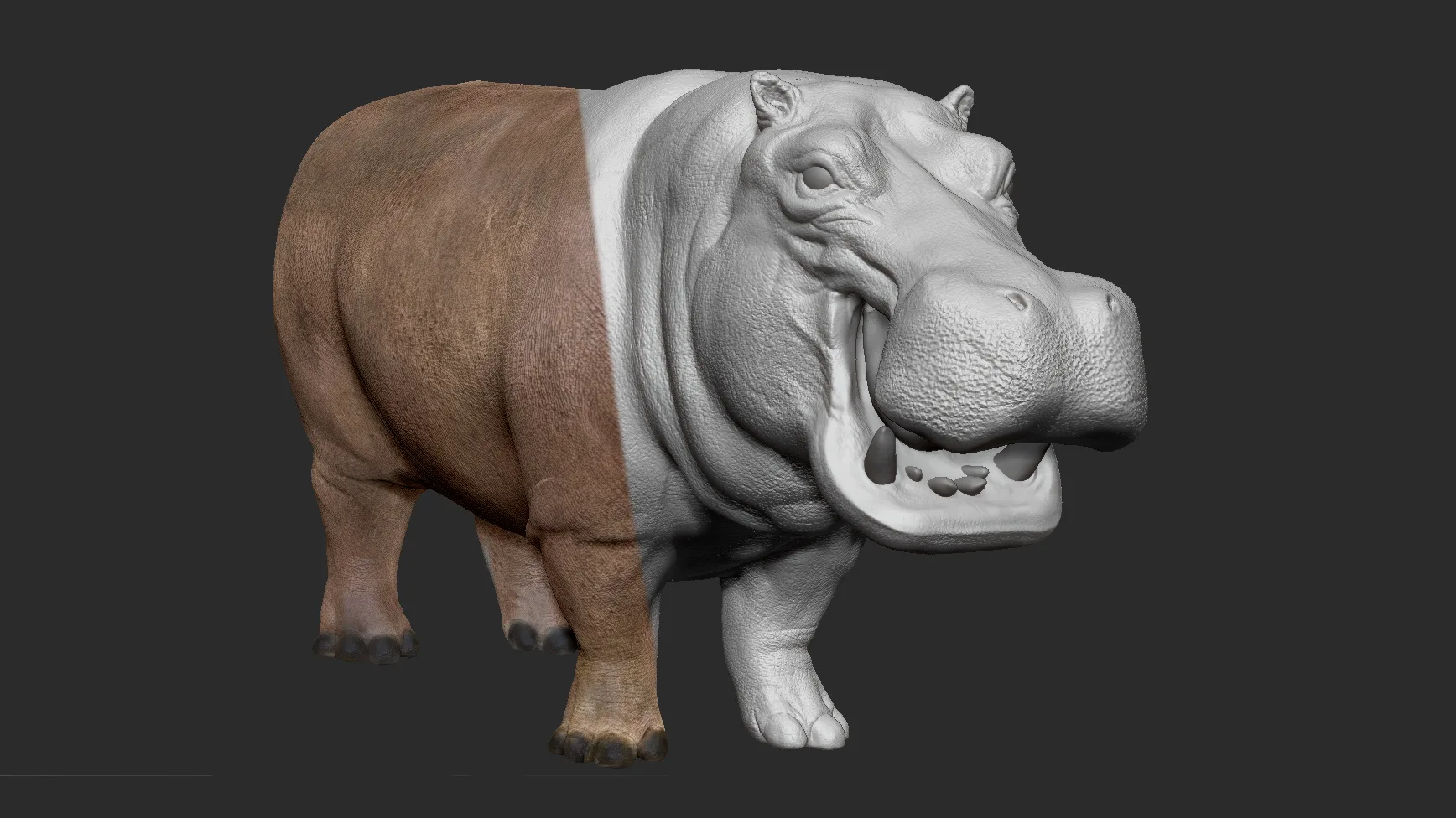 Hippopotamus - Sculpt