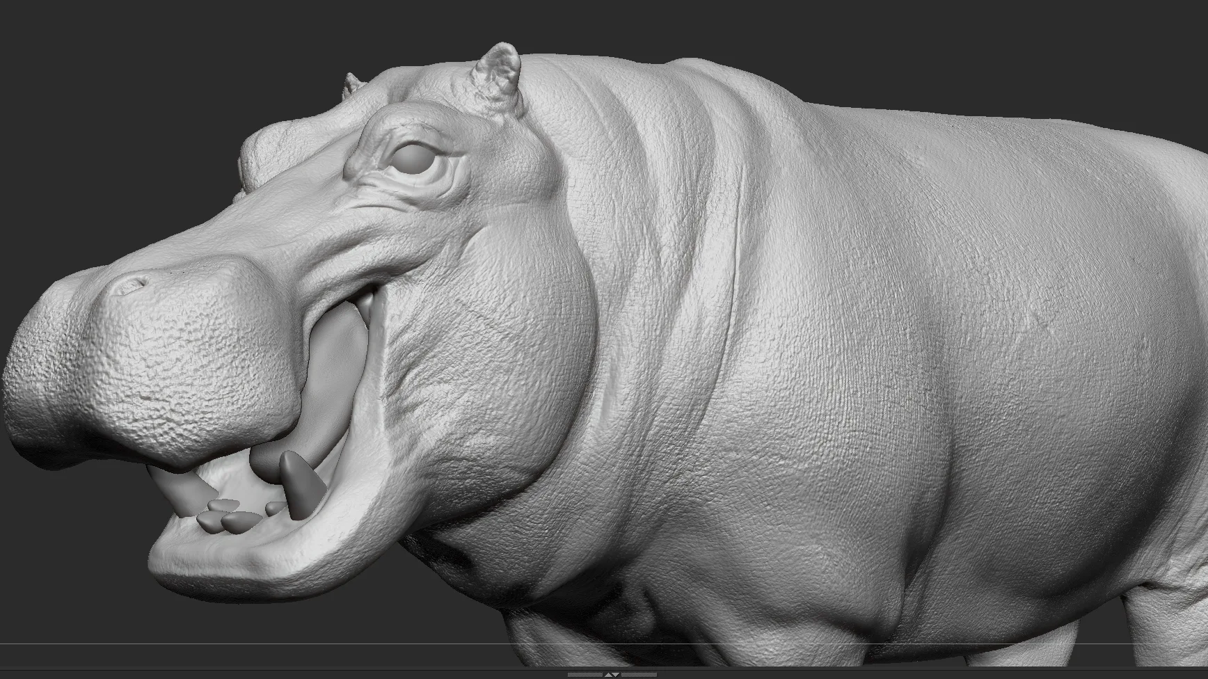 Hippopotamus - Sculpt