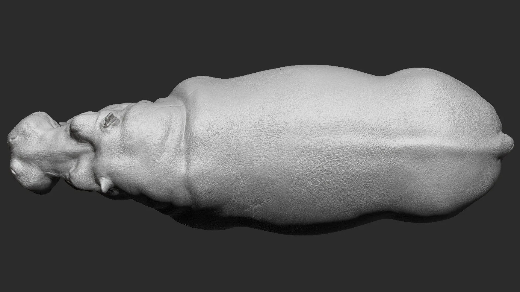 Hippopotamus - Sculpt