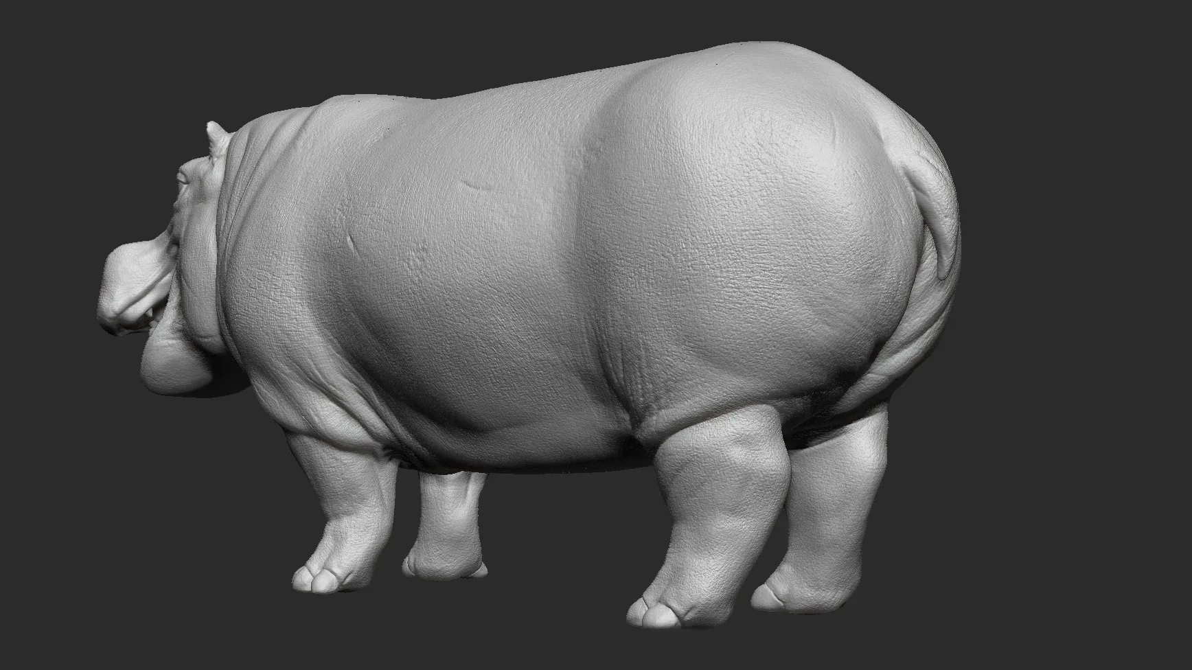 Hippopotamus - Sculpt