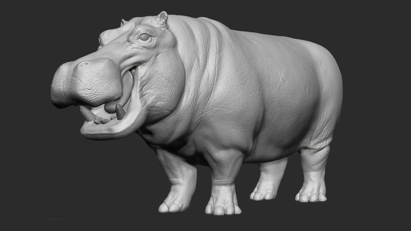 Hippopotamus - Sculpt