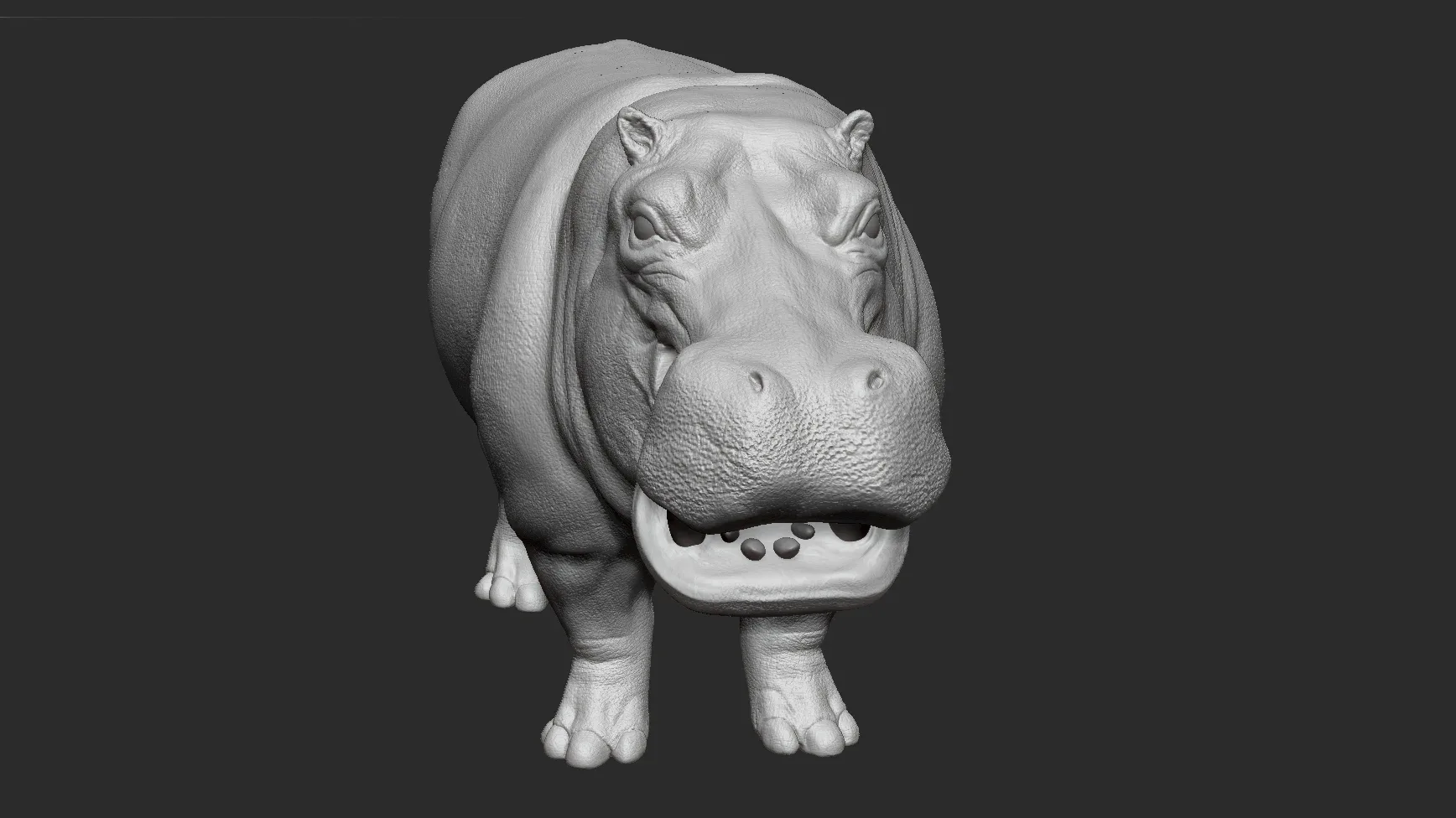 Hippopotamus - Sculpt