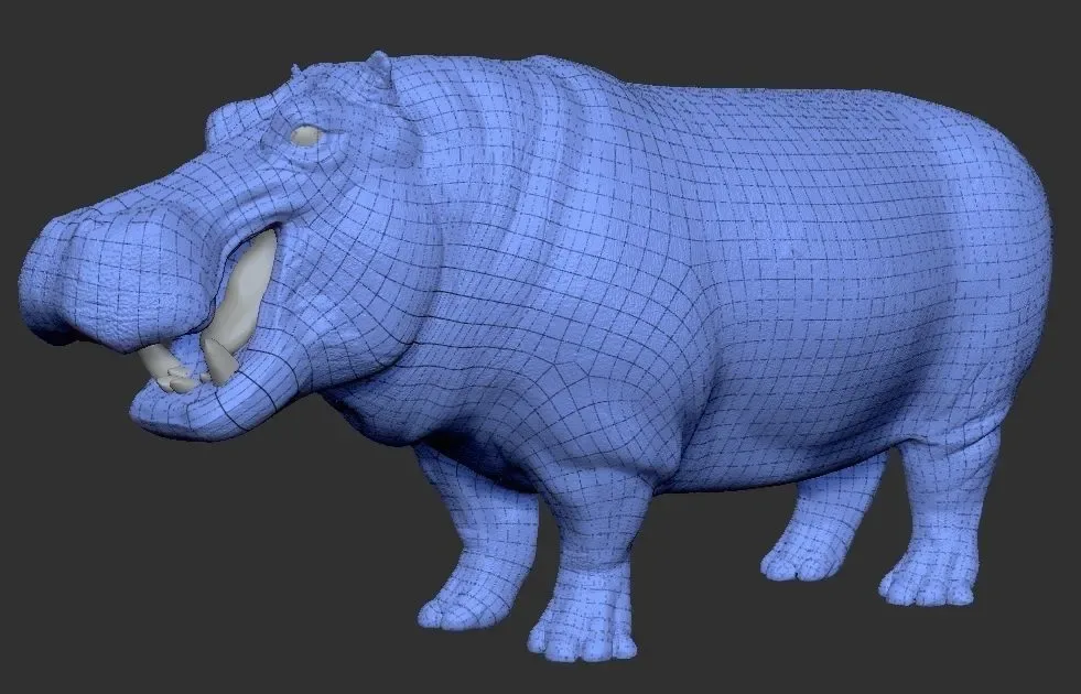 Hippopotamus - Sculpt