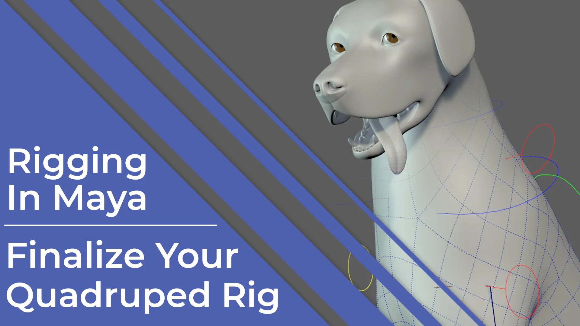 Rigging In Maya: Quadruped