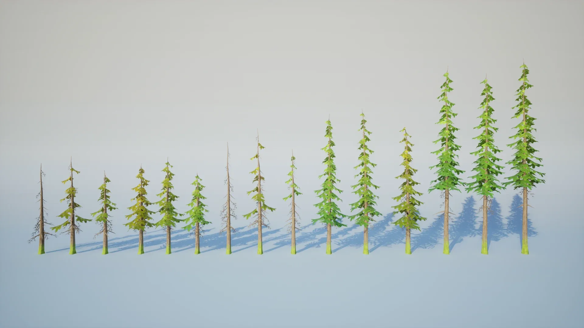 Stylized Pine Forest