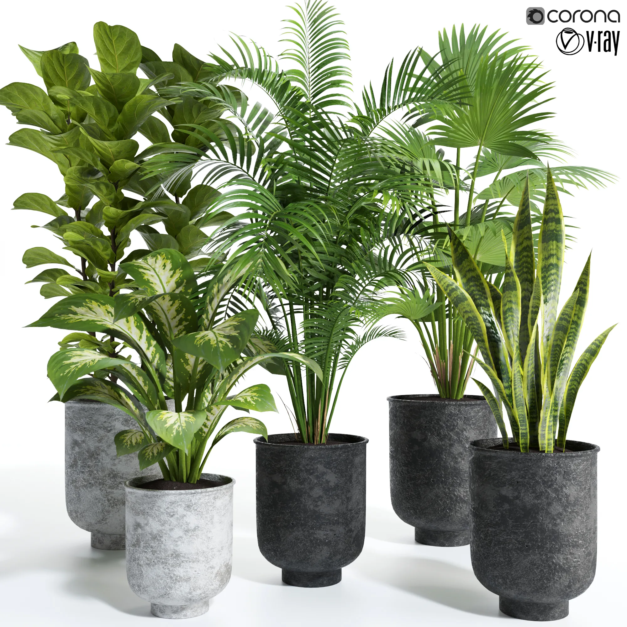 Plant Set 04