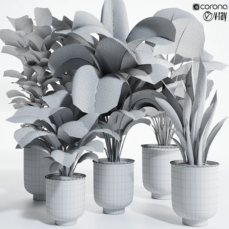 Plant Set 04