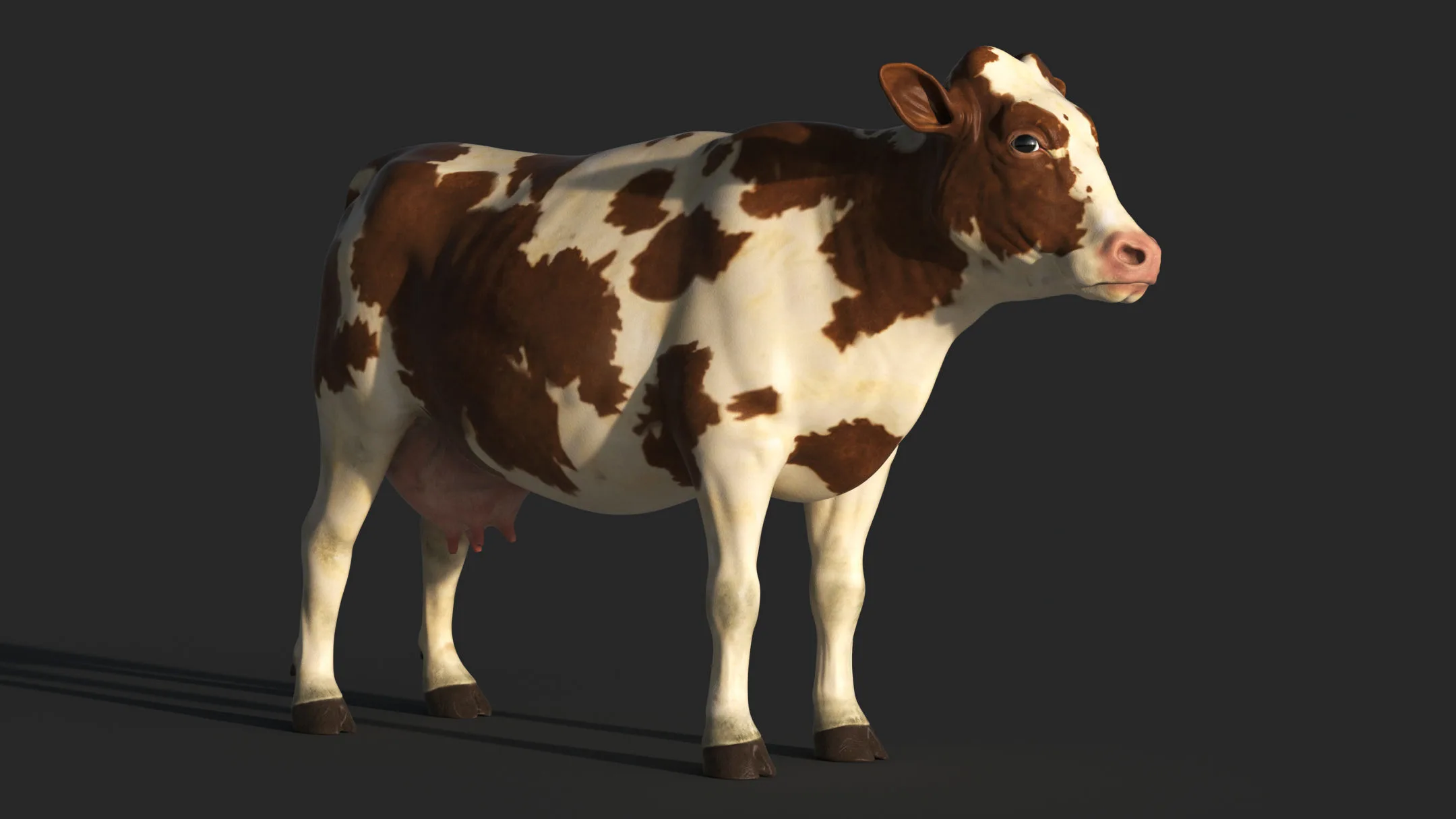 COW