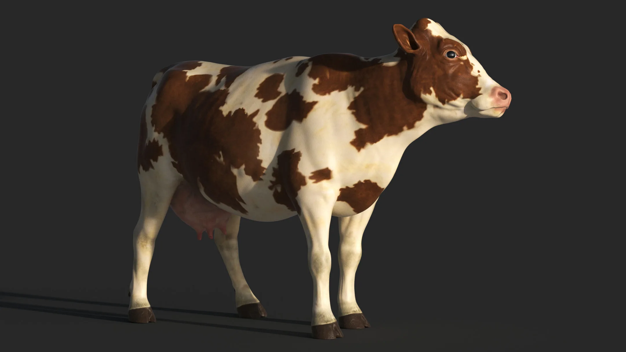 COW